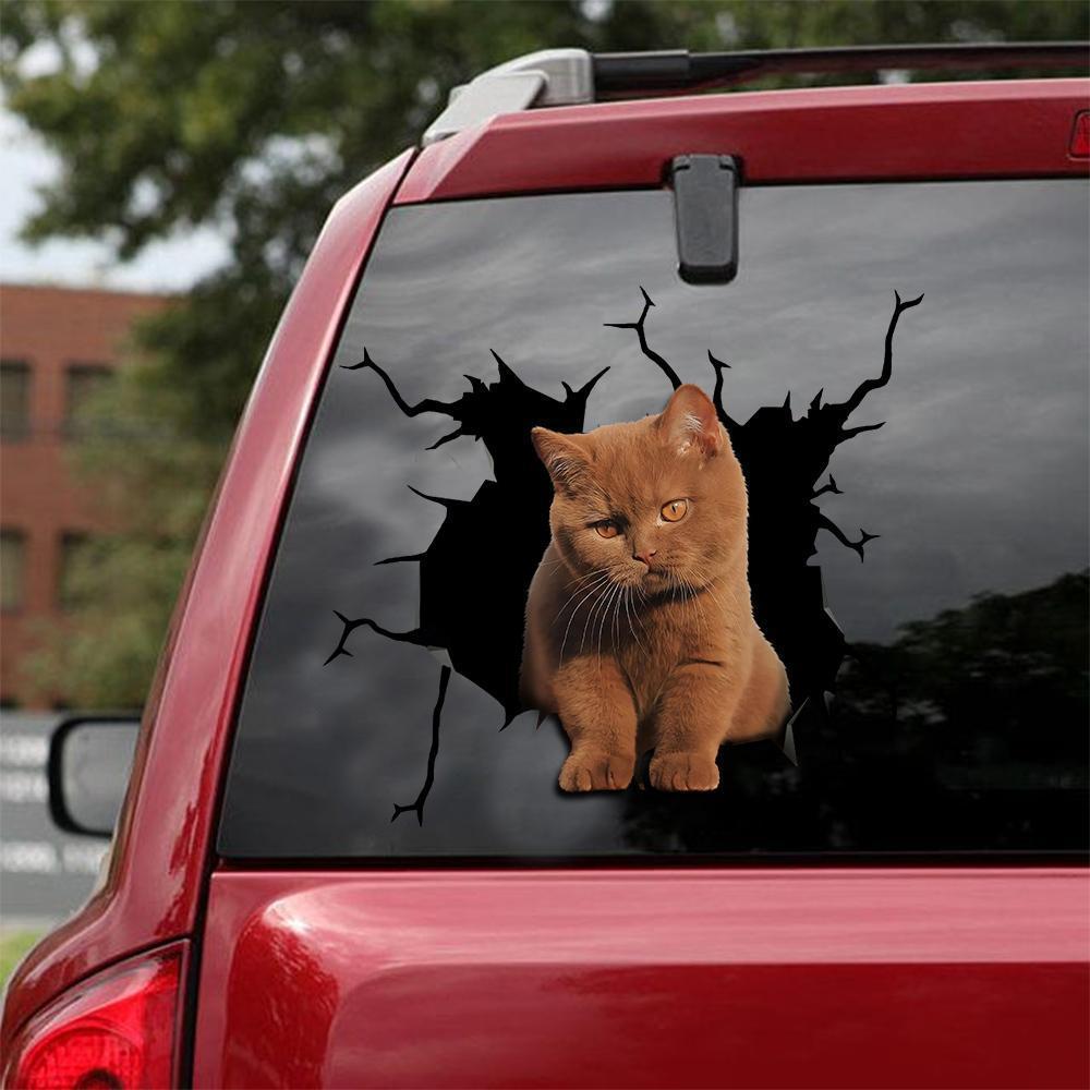 Car Sticker Cats Lover (108)