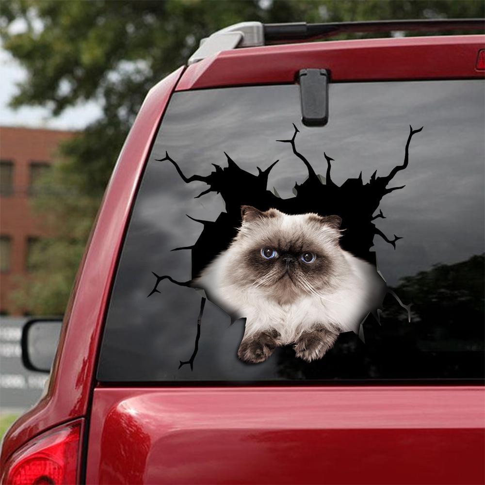 Car Sticker Cats Lover (153)