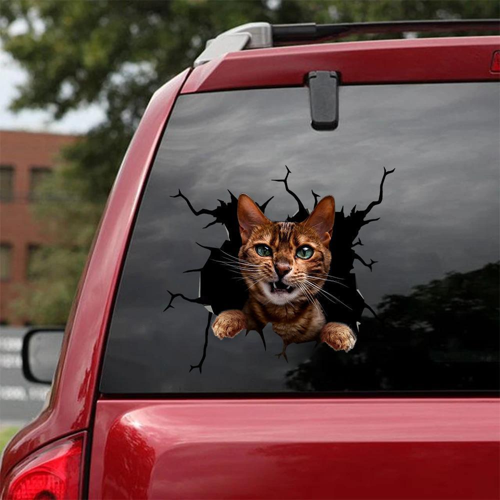 Car Sticker Cats Lover (192)