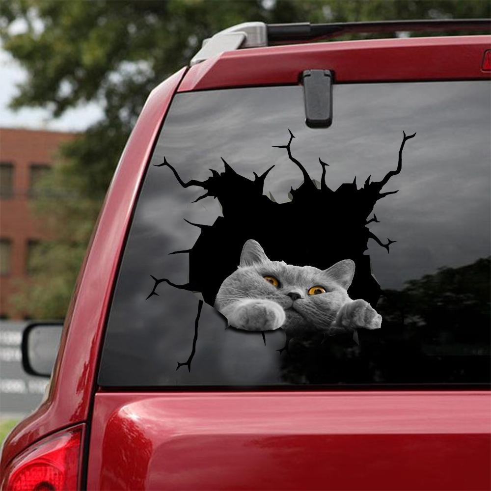 Car Sticker Cats Lover (109)